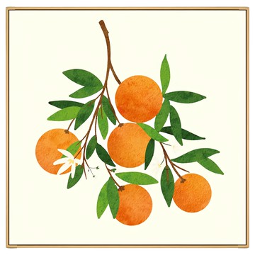 菠蘿選畫所 飄香橘韻 I BFOL4423D 木色 橘子壁畫  40 x 40cm  1件