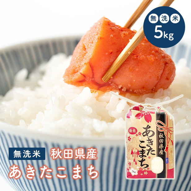 令和5年産　秋田県産　あきたこまち　5ｋｇ　米びつ当番プレゼント付き　米　5ｋｇ　無洗米　送料無料