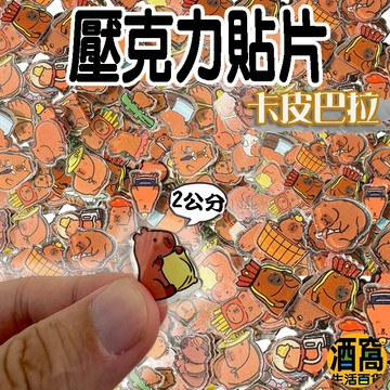 【酒窩購物】卡皮巴拉 2公分 壓克力貼片 卡皮巴拉玩具 卡皮巴拉貼片 冰箱貼 玩具貼片 動漫