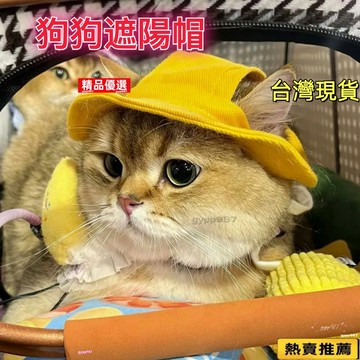 💥台灣熱賣💥狗狗帽子 寵物夏季薄款防曬帽子 柯基柴犬泰迪中小型犬外出裝飾拍照
