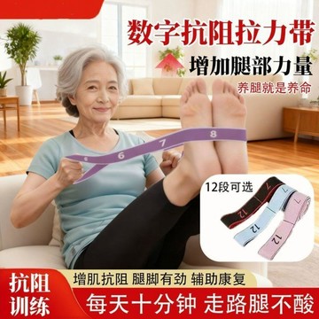 爆款🌟臺灣出貨🌟德國抗阻增肌數字阻力帶中老年腿部肌肉鍛鍊多功能能臀大肌抗助帶