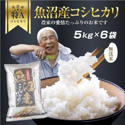 ふるさと納税 新潟県 無洗米 魚沼産 コシヒカリ お米 30kg こしひかり 精米(お米の美味しい炊き方ガイド付き)