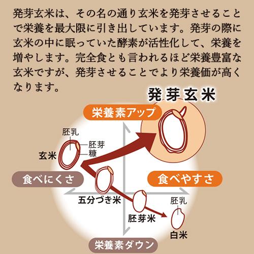 レンジで温めるだけ 3日寝かせ発芽酵素玄米ごはん 1食125g×30個 レトルト 常温タイプ 無添加 ほっとコミュニケーション 春日屋 送料無料