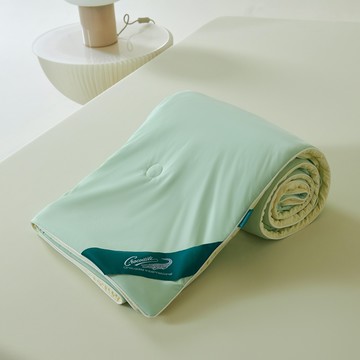 Crocodile 鱷魚 馬卡龍雙色 涼感紗冰冰被  200 x 150cm  若芽綠