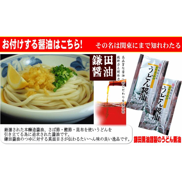 送料無料 うどん 金福完熟 讃岐うどん ！1人前食べ切り個包装タイプ！5食セット ネコポス お試し 讃岐 送料無 激安 さぬきうどん