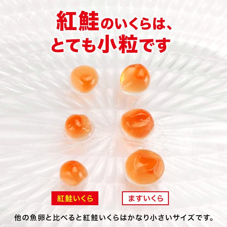 いくら イクラ 紅鮭 醤油漬け 500g (250g×2P) 優良配送 送料無料 さけ グルメ 食品 お歳暮 ギフト 10%クーポン