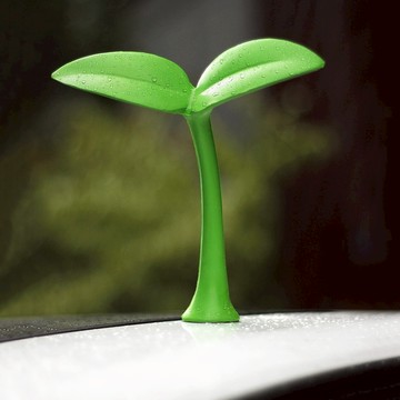 小樹苗立體車頂貼紙 車頂裝飾 3D車貼 創意車貼 汽車貼紙 車用貼紙 車身裝飾 趣味車貼【CW0252】普特汽車精品