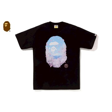 AirRoom 正品 2026SS A BATHING APE BAPE SAKURA TEE 富士山 櫻花 大頭 短T