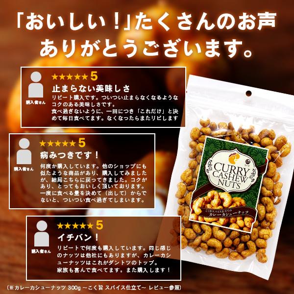 カレーカシューナッツ 200g 〜こく旨 スパイス仕立て〜 （ おつまみ カレー味 スパイス おやつ 味付け お茶請け お茶菓子 豆菓子 ギフト 酒の肴 ）