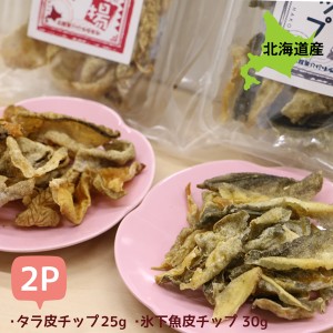 おつまみ 珍味 ハイボールに合う おつまみ 2種セット 25g×2袋 乾物珍味 珍味セット 海産物 お試し 珍味セット おつまみセット 珍味 北海