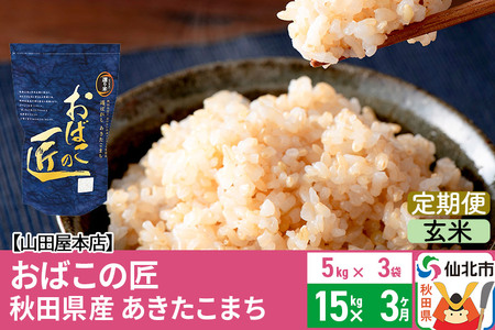 《定期便3ヶ月》令和5年産 仙北市産 おばこの匠 15kg×3回 計45kg 秋田県産あきたこまち 秋田こまち お米 3か月 3ヵ月 3カ月 3ケ月