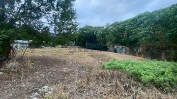 新城農地-給自己的小農埸｜花蓮縣新城鄉嘉平段