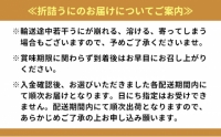 極上エゾバフンウニ折詰100g・塩水パック100g食べ比べセット