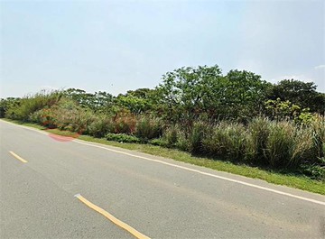 龍潭乳姑山正路邊農地｜桃園市龍潭區洽水段