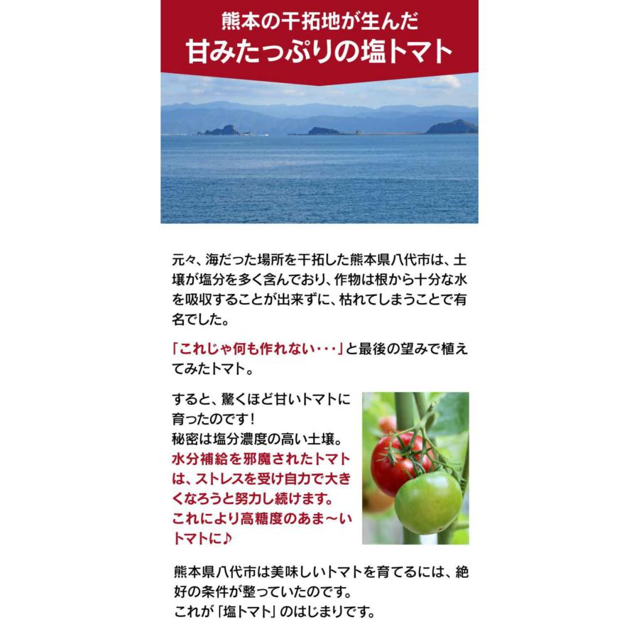 熊本産 塩トマト フルーツトマト 1kg 9〜12玉 送料無料 甘いトマト ＜12月中旬より出荷予定＞ 塩とまと 高糖度 農家直送 大嶌屋（おおしまや）