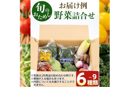 No.788 旬の野菜の詰め合わせ(6~9種類)