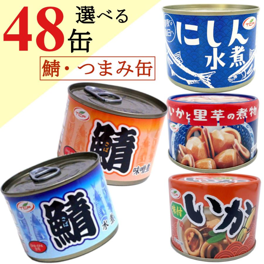 鯖缶  詰め合わせ 200gｘ48缶 （サバ 水煮 味噌煮 イカ味付） まとめ買い  おつまみ 鯖 缶詰 アテ 酒の肴 おつまみセット 送料無料