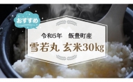 雪若丸　玄米30kg（令和5年山形県飯豊町産）