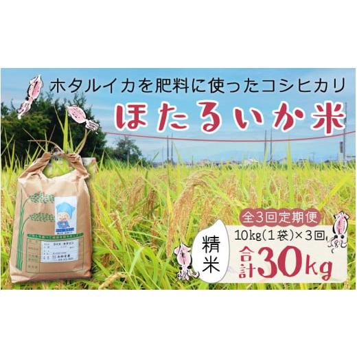 ふるさと納税 富山県 滑川市 ほたるいか米（精米10kg）×3回 計30kg