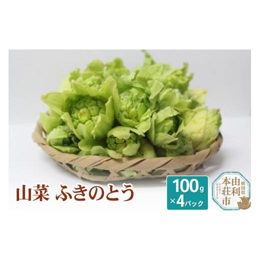 ふるさと納税 秋田県 由利本荘市 山菜 ふきのとう 100g×4パック 天然 （発送は3月〜4月頃）