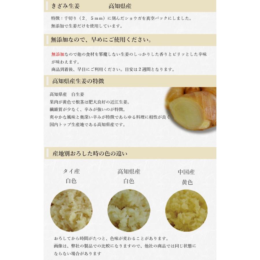 冷凍 皮付ききざみ生姜 1kg×3パック 高知県産  一次加工品