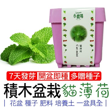 積木盆栽 貓薄荷 香草盆栽「多送種子1包」懶人盆栽 iPlant積木農場 開心農場 瓜果 開花 種子 培養土 花盆