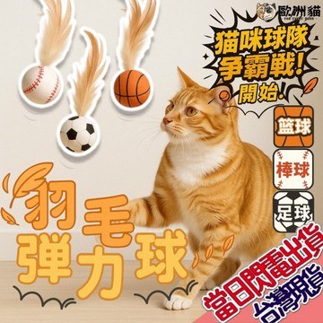 【歐洲貓】【台灣現貨🔥貓專賣店】逗貓羽毛彈力球 真雞毛設計 羽毛彈力球 貓咪玩具 逗貓球 彈力球 貓咪彈力球 寵物用品