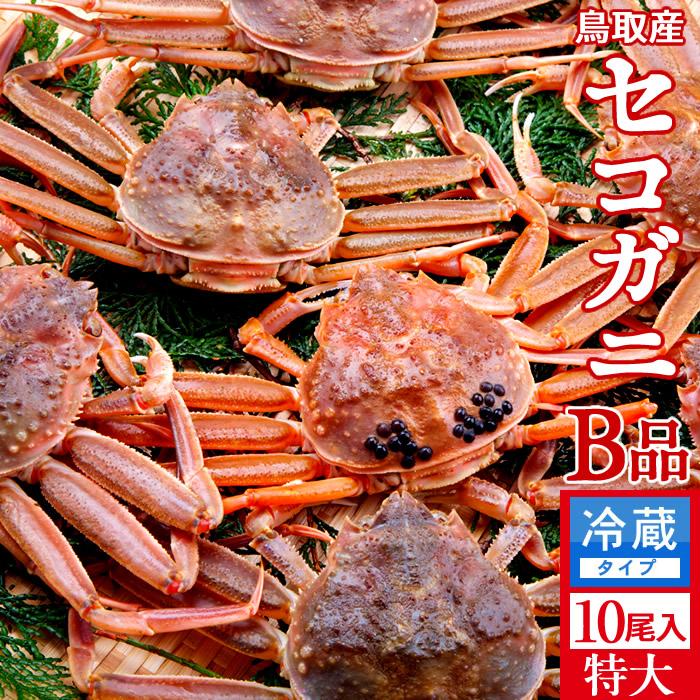 かに 訳あり 香箱がに セコガニ［B品］特大2kg（10尾入）活ガニ 生き蟹 松葉蟹のメス 鳥取県産 せこ蟹 セイコガニ 子持ち 親蟹［お歳暮 2023 ギフト 御歳暮］