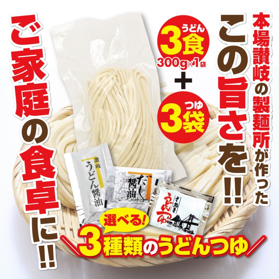 セール⇒698円 お試しセット うどん 讃岐うどん 香川県 つゆ付き 3人前 生麺 お取り寄せ 3食 3種類のつゆ 旨い もちもち お土産 送料無料 ポイント消化 送料無料