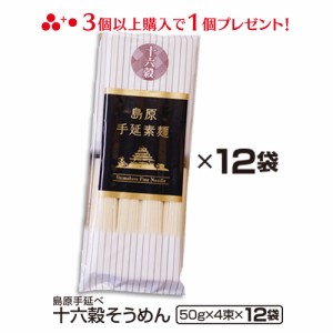 送料無料 島原手延べ十六穀そうめん48束（4束×12袋） 冬ギフト お歳暮 のし対応