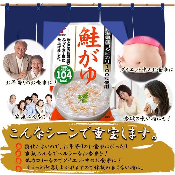 鮭がゆ250ｇ (たいまつ食品) 低カロリー 健康志向のレトルト食品 おかゆ 新潟県産こしひかり