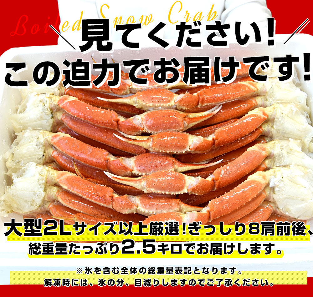 北海道より直送 北海道加工 「ボイル本ズワイガニ」 総重量2.5キロ(8肩前後) 2Lサイズ以上 送料無料　カニ ズワイ ズワイガニ ズワイ蟹 かに カニ脚 ギフト