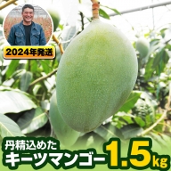 南風原農園　丹精込めた「キーツマンゴー」1.5kg