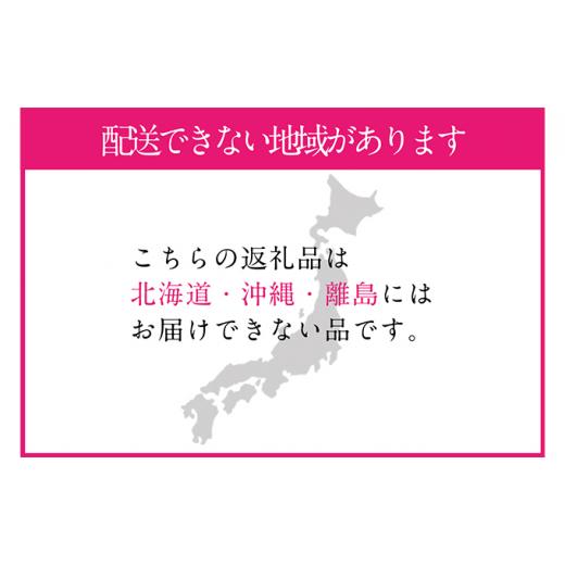 ふるさと納税 岡山県 岡山市 桃 2024年 先行予約 岡山の白桃 250g以上×6玉 白桃 旬 みずみずしい 晴れの国 おかやま 岡山県産 フルーツ王国 果物王国[No.5220…