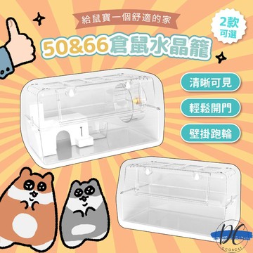【DC寵物有發票】🐾 50&66倉鼠水晶籠 透明水晶籠 全透明倉鼠籠  倉鼠籠 倉鼠壓克力籠 倉鼠飼養箱 B070