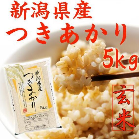 米・穀物 玄米 新米新潟県産つきあかり玄米5キロ令和5年産プレゼント付き 産地直送