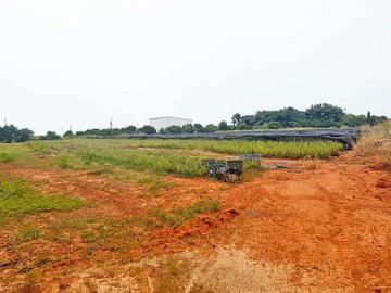 沙鹿區｜國際機場門戶特區西勢段農地｜總價4215萬｜台中市沙鹿區西勢段