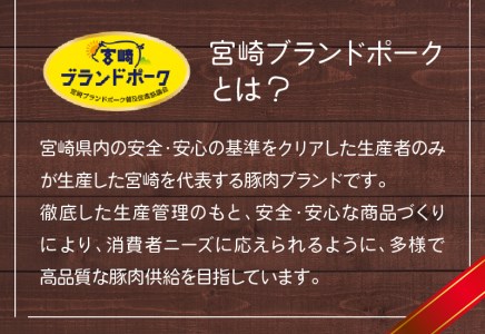 宮崎牛 宮崎ブランドポーク 合挽ミンチ 1kg　N061-ZA382