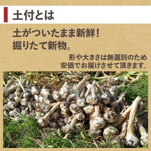 にんにく 土付き にんにく 青森 1kg 新物 送料無料 青森県産にんにく 1キロ 土付きニンニク ネット詰め 国産