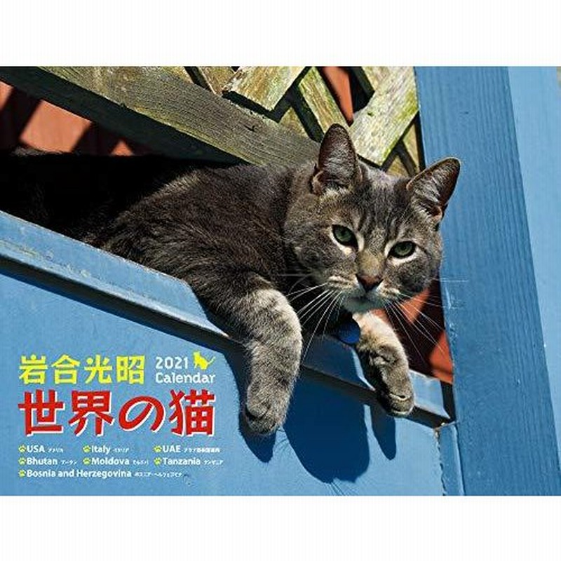 21 岩合光昭 世界の猫 カレンダー 通販 Lineポイント最大0 5 Get Lineショッピング