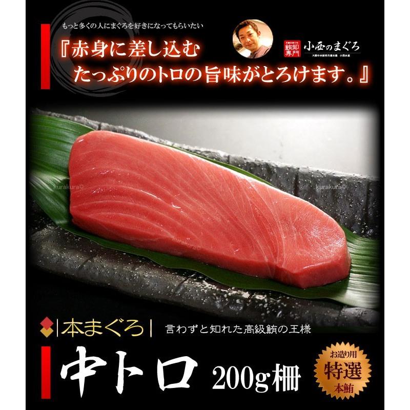 本マグロ 中トロ (約200g×2柵) 地中海産 蓄養鮪 贈答用 本マグロ 中トロ 中とろ トロ 本まぐろ 本鮪 まぐろ 鮪 クロマグロ 黒まぐろ 黒鮪 マグロ ギフト 冷凍