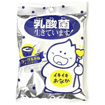 【江戶物語】 龜甲製果 大袋  KIKKO 乳酸菌糖果 70g 添加乳酸菌 優格糖 零食 糖果 日本進口
