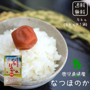 鹿児島県産 なつほのか 白米 ５ｋｇ (５ｋｇ×１袋)  令和2年 2020年 5kg  お米5kg 5キロ 美味しい米 おいしい米 コロナ 巣