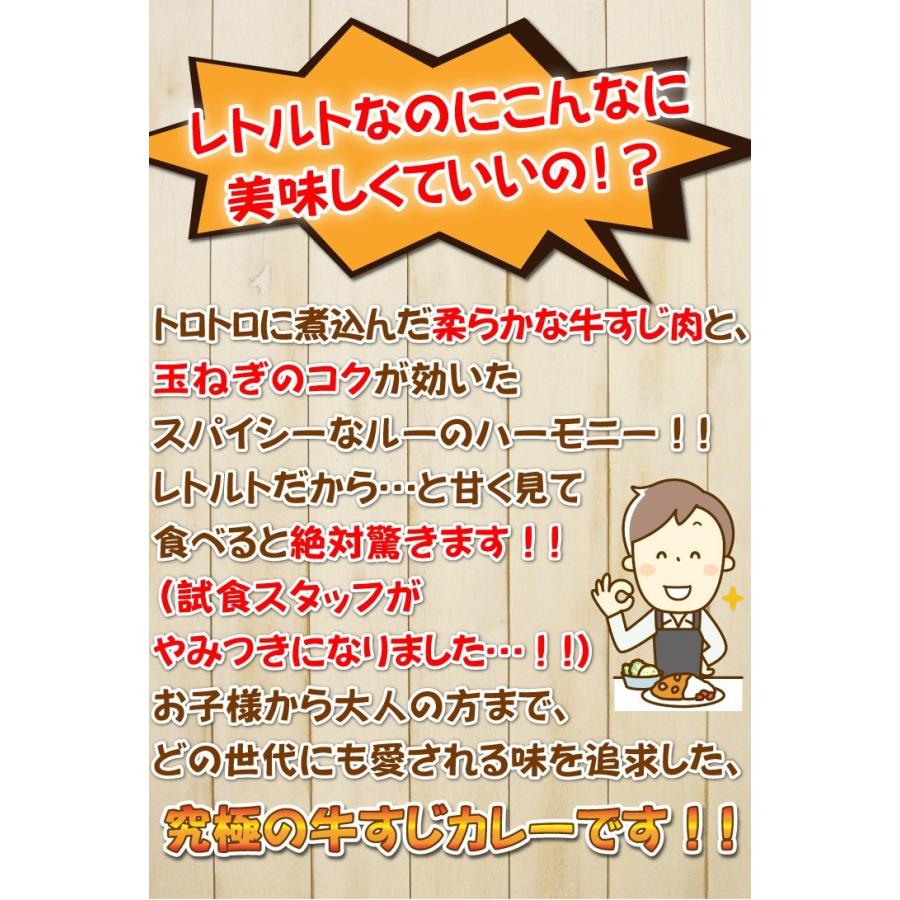 牛すじカレー 18袋 100％国産 牛すじ たまねぎ使用 中辛 惣菜 レトルト 送料無料 非常食 おつまみ 珍味 牛肉 ご飯のお供 贅沢