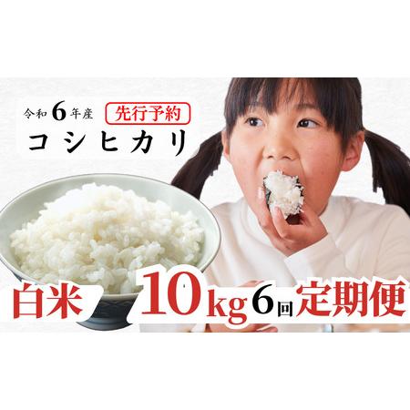 ふるさと納税 白米 10kg 令和6年産 コシヒカリ 岡山 あわくら源流米 K-ag-CDZA 岡山県西粟倉村