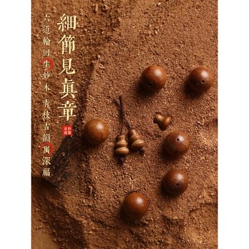 五臺山六道木手串九道木男老料山西降龍木手鏈女佛珠念珠文玩手盤