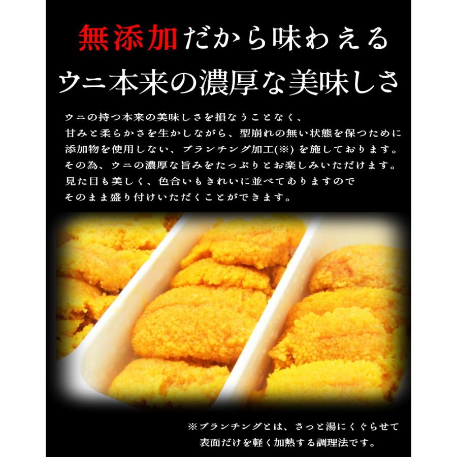 国産うに 200g  うに  岩手県産　箱入り　生うに 100g×２パックセット 冷凍　ブランチウニ　国産 雲丹　・国産ウニ２P・