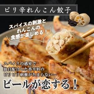 ふるさと納税 餃子の惑星 ビールが恋する100個セット(2種・合計100個