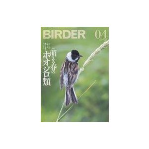 中古動物・ペット雑誌 BIRDER 2021年4月号