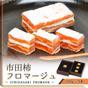 市田柿フロマージュ　100g×3本　 テレビで紹介 がむしゃらグルメ団 南信州特産 おつまみ ワイン メディア おすすめ スイーツ ドライフル